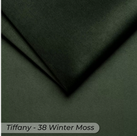 38Winter Moss
