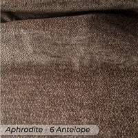 Aphrodite 6 Antelope
