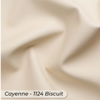 Biscuit