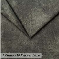 Winter Moss